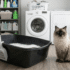 PrettyLitter Color Chart: What Each Color Means