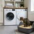 Crystal Cat Litter: Pros and Cons