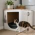 Wood Cat Litter: What It Is and Which Type Suits Your Cat
