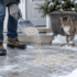 Does Cat Litter Expire? How to Tell If It’s Gone Bad