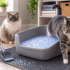 Crystal Cat Litter: Pros and Cons