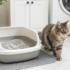 Best Litter Box for Small Bathrooms: Corner, Top-Entry, and Compact Picks