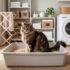 Stainless Steel Litter Box: Pros, Cons, and What to Know