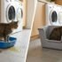Why Is My Cat Pooping Outside the Litter Box? (Real Causes and Fixes)