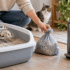 Litter Genie Review: Which Pail and Refill Should You Buy?