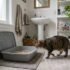 Non-Toxic Cat Litter: What It Means and 6 Safe Picks