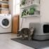 A Better Cat Litter Mat: What Works for Tracking (and What Doesn’t)