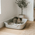 Can Two Cats Share a Litter Box? Yes, But There’s a Catch