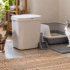 Why Is My Cat Laying in the Litter Box? When to Worry