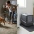Best Lightweight Cat Litter (Low Dust, Easy to Handle & Less Mess)