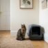 Dr Elsey’s Cat Litter Review: Which One Should You Actually Use?