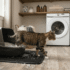 Paper Cat Litter: Pros, Cons and When to Use It