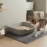How to Transition Cat Litter Without Your Cat Refusing the Box