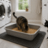 Can You Use Pine Pellets for Cat Litter?