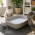 Best Tofu Cat Litter: 6 Top Picks Compared