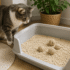 Walnut Cat Litter: Pros and Cons
