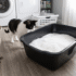 PrettyLitter Color Chart: What Each Color Means