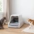 Dog Proof Litter Box Solutions That Actually Work (By Dog & Cat Type)