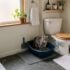 Dog Proof Litter Box Solutions That Actually Work (By Dog & Cat Type)