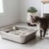 Best Extra Large Litter Box for Big Cats (Top Picks for Large Cats)