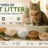 Biodegradable Cat Litter Bags: Do They Actually Work?