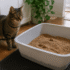 Naturally Fresh Cat Litter Review (3 Formulas Compared)