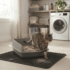 Best Cat Litter for Asthmatic Cats: Low Dust, Fragrance-Free Picks