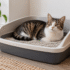 Litter Genie Review: Which Pail and Refill Should You Buy?